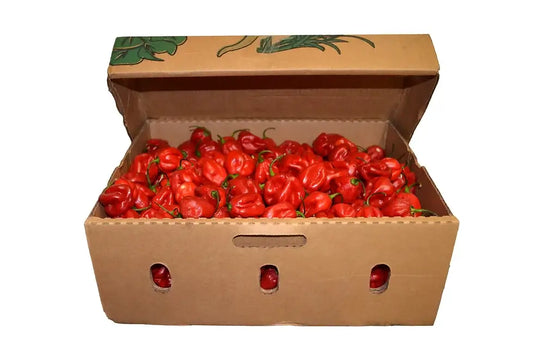 Habanero Pepper